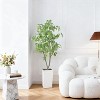 Coucheta Artificial Ficus Trees - with Decorative Planter for Home, Office & Living Room Décor, Available in Multiple Sizes & Finishes - 2 of 4