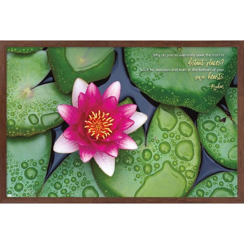 Zen Water Lily Art: Canvas Prints, Frames & Posters