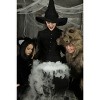 HalloweenCostumes.com Child Furry Spider Costume - 3 of 4