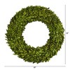 Nearly Natural 24” Preserved Boxwood Wreath - 2 of 2