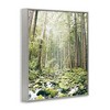 Stupell Industries Verdant Forest Glow Wilderness Framed Giclee Art - 2 of 4