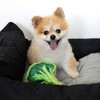 Pavilion Gift Company - Broccoli - 6.25" Canvas Dog  - Pet Toy - 2 of 4