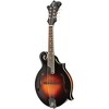 The Loar LM-520 Hand-Carved F-Model Acoustic Mandolin Sunburst - 3 of 4
