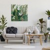 Stupell Industries Tropical Birds Of Paradise Plant, 36" x 36" - 2 of 4