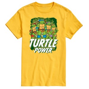 Men's - Teenage Mutant Ninja Turtles - Turtle Power Short Sleeve Graphic T-Shirt - 1 of 4