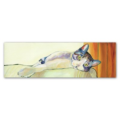 Trademark Fine Art -Sunbather by Pat Saunders-White -8x24 Ready to Hang Art