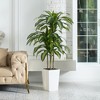 5-6ft UV & Sunproof Artificial Dracaena Tree for Indoor/Outdoor - Faux Silk Plant in Tall Planter, Tall Faux Tree for Home & Garden Decor - 2 of 4
