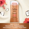 SheaMoisture Deodorant Stick Aluminum Free - Fresh - Coconut & Hibiscus - 2.6oz - 4 of 4
