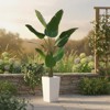 Orieon 4.8FT Artificial Banana Tree in White Planter, Faux Tropical Floor Plant for Living Room, Entryway, Porch, Office - 4 of 4