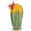Northlight 8.5" Flowering Cactus Artificial Plant Table Top Decoration - Green/Yellow - 4 of 4