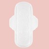 Rif Care Organic Regular Pads with Wings- 42 count - 2 of 4