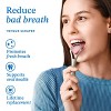 Mouthology Singled Handle Tongue Scraper - 2pk - 2 of 3
