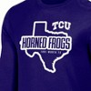 NCAA TCU Horned Frogs Men's Long Sleeve T-Shirt - 3 of 3