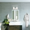 Livex Lighting Astoria 2 - Light Vanity in  Brushed Nickel - 2 of 4