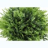 Gulches 5in Artificial Grass Tree in Grey Pot Trio Green Faux Plants for Home Office Table Decor - 4 of 4