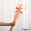 Uniquewise Preserved Real Floral Stems Chic Vase Fillers & Accents for Bouquets Centerpieces - 4 of 4