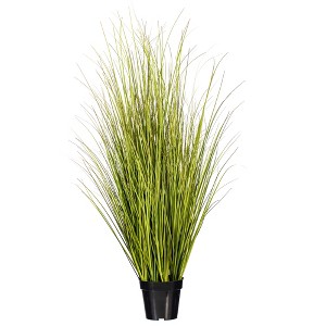 Green/Brown Switchgrass Potted - 1 of 4