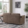 Sofa,loveseater,two seater sofa,Chenille,the sofa is perfect for small spaces, apartments, or modern living rooms - 3 of 4