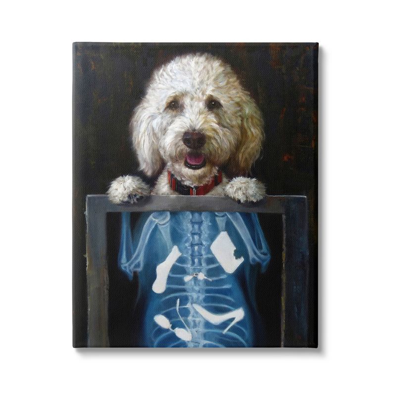 Funny Dog X-Ray Snacks Canvas Wall Art, 30 x 40 Inches