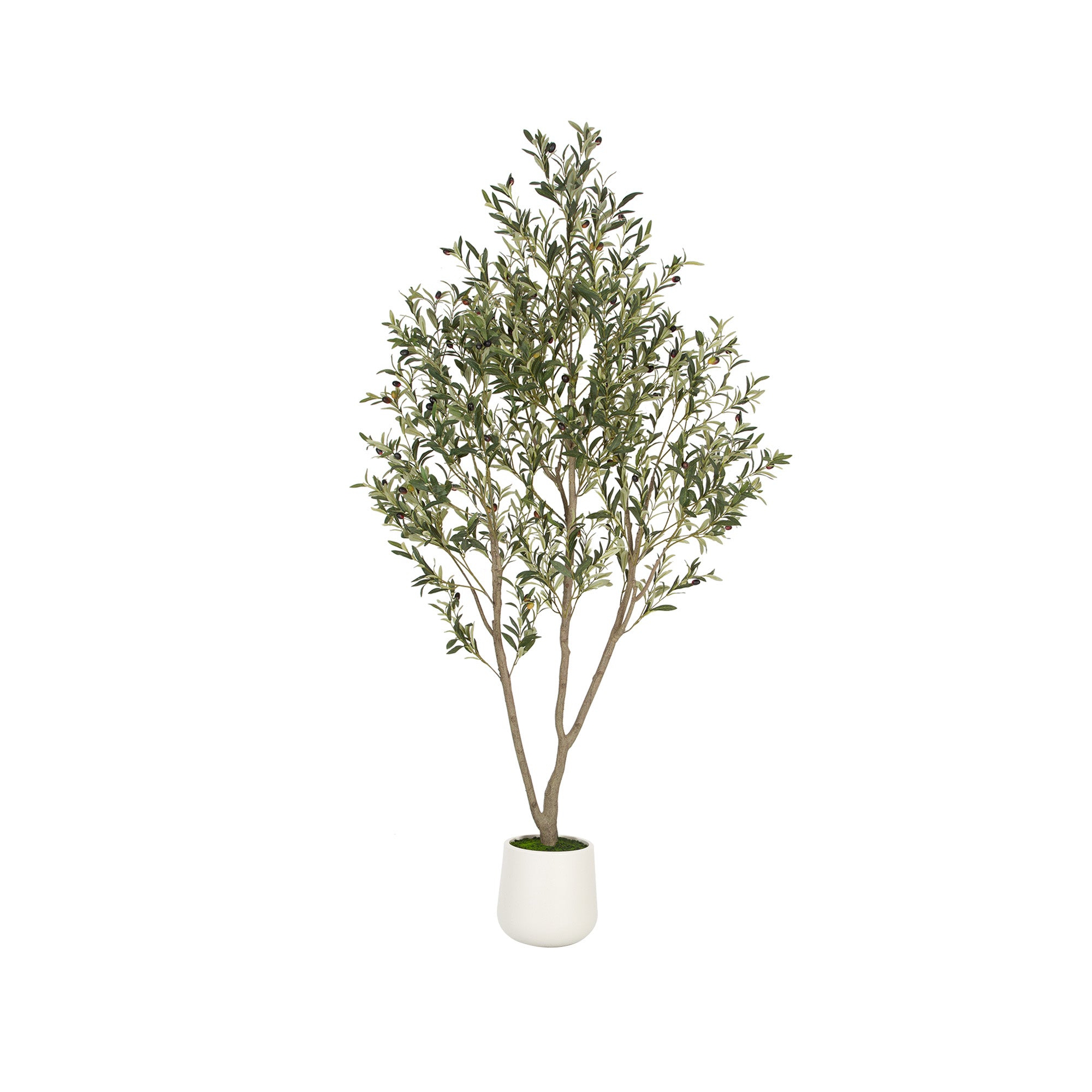 Romswi Faux Olive Tree with Oval White Planter, 7 FT Tall Faux Olive Trees, with Natural Wood Trunk Lifelike Fruits, Fake Greenry Plant for Home Decor
