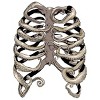 Men's Design By Humans Your Rib Is an Octopus By huebucket T-Shirt - 2 of 4