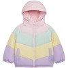 Carter's Girls' Toddler Heavyweight 2-Piece Snowsuit Set – Water Resistant Ski Jacket & Snow Bib - 2 of 4