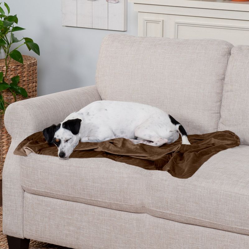 FurHaven Waterproof Velvet Pet Throw Blanket for Dogs & Cats, 3 of 4