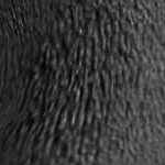 charcoal