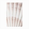 Trademark Fine Art - Pictufy Studio Shell 2 Matted Framed Art - 3 of 4