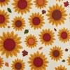 Design Imports Assorted Pumpkin Patch Truck Dishtowel (Set Of 3) - 4 of 4