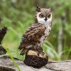 Garden Statue, Owl Statue - 7 Inches Resin Lifelike Outdoor Owl Figurine, Decor for Yard/Courtyard/Porch/Office Garden Ornament - 2 of 4