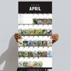 TF Publishing 13.5"x14.5" 2026 Birds Backyard and Beyond Wall Calendar - 4 of 4