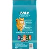 IAMS Proactive Health Weight Control and Hairball Care with Chicken and Turkey Flavor Indoor Dry Cat Food - 3.5lbs - 2 of 4