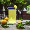 The Wine Savant Blue Hand-Blown Mexican Drinking Glasses & Pitcher Set Includes 6 Mexican Blue Rim Drinking Glasses - 3 of 4