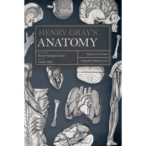Henry Gray's Anatomy : Target