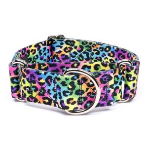 Country Brook Petz HossFit Jr Wide Martingale Dog Collar - Animal Print Collection - 1 of 4