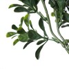 Vickerman Artificial Green UV Coated Boxwood Bush - 4 of 4