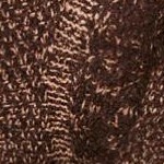 chocolate brown sugar