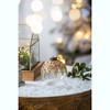 Dexmalle Set of 6 Glass Decorative Hanging Ball Christmas Tree Ornaments - 3 of 4