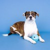 PetShop by Fringe Studio Having A Ball Dog Treat Dispenser Toy - Blue - 3 of 4