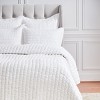 EY Essentials 26" x 26" Elodie Dove Cotton Euro Sham - Machine Washable - 2 of 4