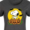 Women's Peanuts Snoopy Pumpkin Patch Graphic T-shirt Dress - Heather Charcoal - 4X - 2 of 4