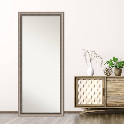 Elegant Full-Length Bronze and Silver Wood Framed Mirror