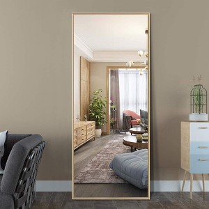 Riggs 59"x 20"  Contemporary Full Length Mirror Framed Floor Free Standing - The Pop Home - 1 of 4