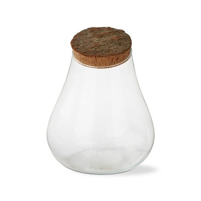 tagltd Recycled Glass Slant Top Terrarium