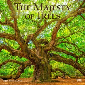 BrownTrout 2025 Wall Calendar 12"x12" The Majesty of Trees - 1 of 4