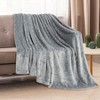 Aoibox Super Soft Cozy Fleece Throw Blanket, Lightweight Fuzzy Comfy Textured Flannel Warm Plush Blanket for Couch, Sofa, Bed, Home Decor, Light Grey - 2 of 4