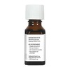 Aura Cacia Spearmint Pure Essential Oil - 0.5 fz - 4 of 4