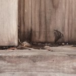 farmhouse gray