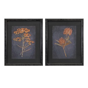 Melrose Framed Botanical Print (Set of 2) - 1 of 3
